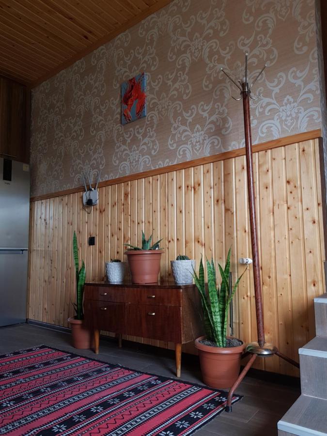 Cozy House Kazbegi Hotel Exterior foto